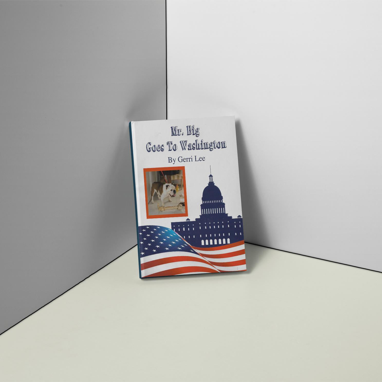 Gerri Lee Book 4